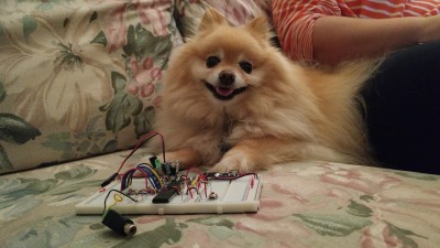 Cody with Propeller board.jpg