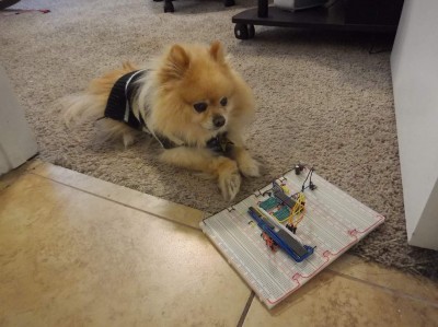 Cody with the earliest parts of the 65C02 build, just starting out with a 65C02 and Propeller.