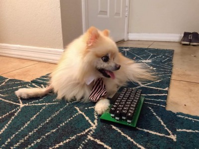 Cody with keyboard.jpg