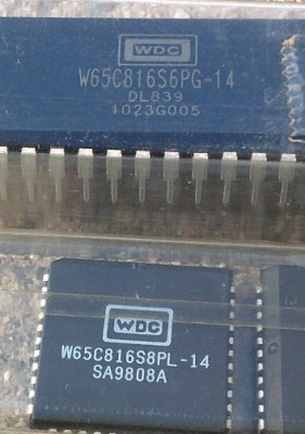 WDC816PLCCandDIP.jpg