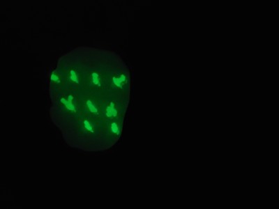 1010<br /><br />1110<br /><br />1111