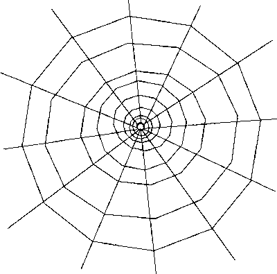 spiderweb2.gif