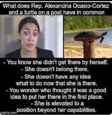 aoc_turtle.png