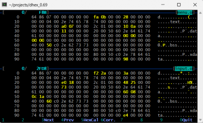 Screenshot of dhex hex editor showing binary diff