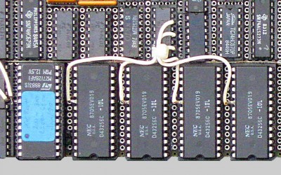 KK 0791ram fr.jpg