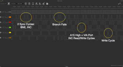 Cap Blink 16MHz Branch Ann.png