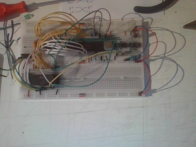 picture of my progress