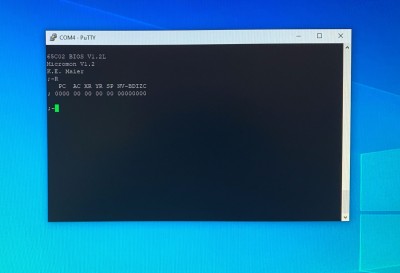 Screenshot of Micromon running