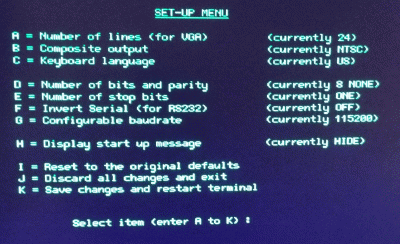 ASCII VT-100 TERMINAL — Setup Menu